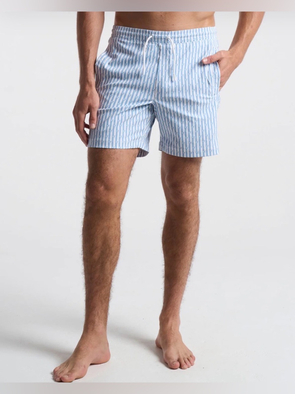 Men’s Birddogs 3 in 1 Swim Shorts blue and white stripes size large classic